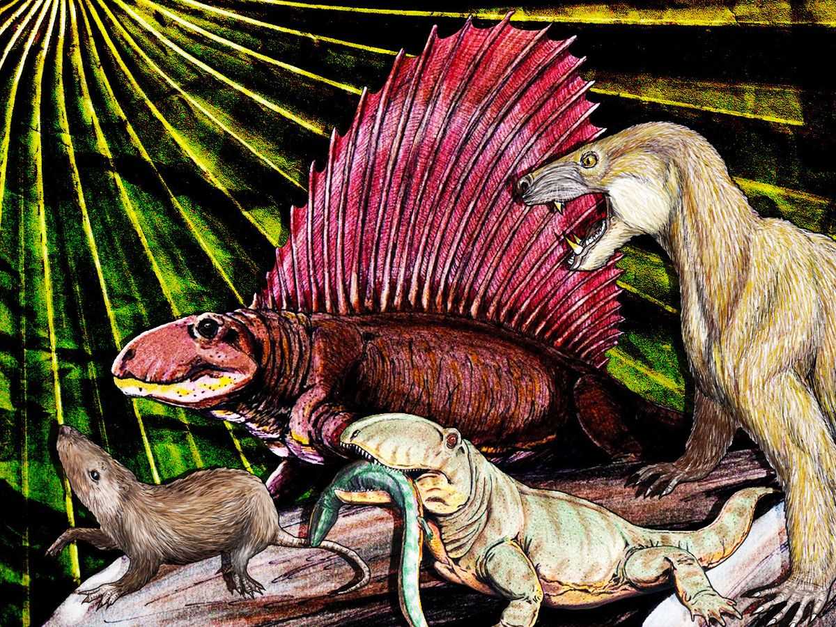 🐍🐰 Reptiles vs. Mammals: A Cardiovascular Comparison! 🐍🐰 Join AEMV and  ARAV for an exciting collaboration as we explore the fascinating differences  in anatomy and physiology between mammals and reptiles! In honor, image size:1200x900