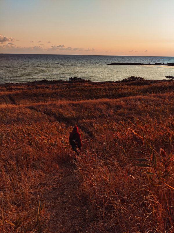 A gilr got lost in a reeds on her way to the sea thumbnail
