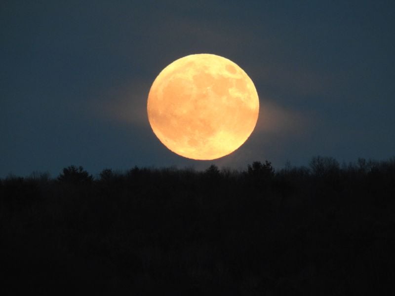 November Full Beaver Moon Rise | Smithsonian Photo Contest ...