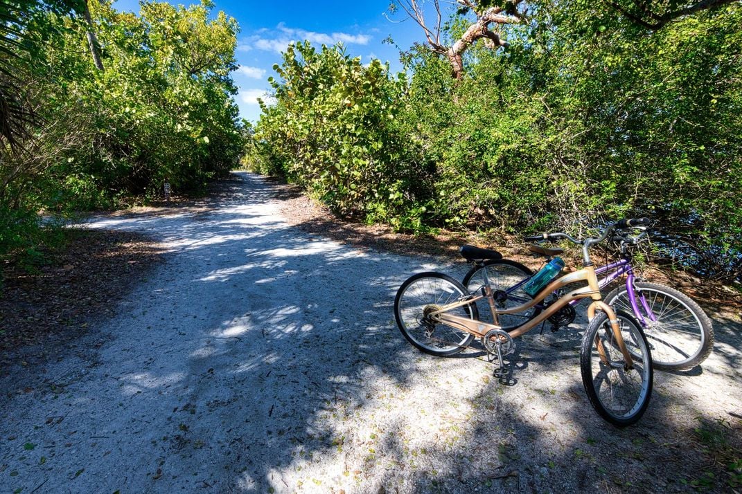 Why The Beaches of Fort Myers & Sanibel Is a Wildlife Adventurer's Dream Destination