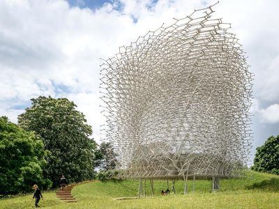 "The Hive" is on display at the Royal Botanic Gardens at Kew, in London, England, through the end of 2017.