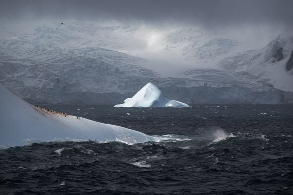 Icebergs & Glaciers, Elephant Island, Antarctica 22DEC2019 thumbnail