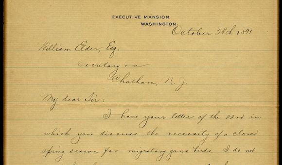 Letter.jpg