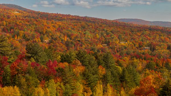 Tons of Fall Colors Dot the Vermont Mountainside thumbnail