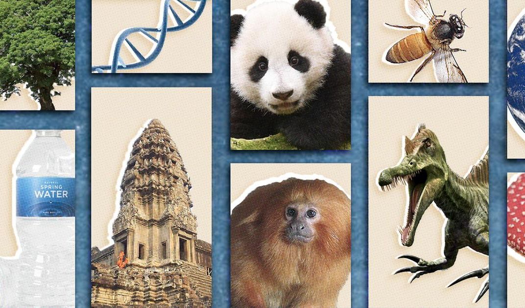 Fifty Things We've Learned About the Earth Since the First ...