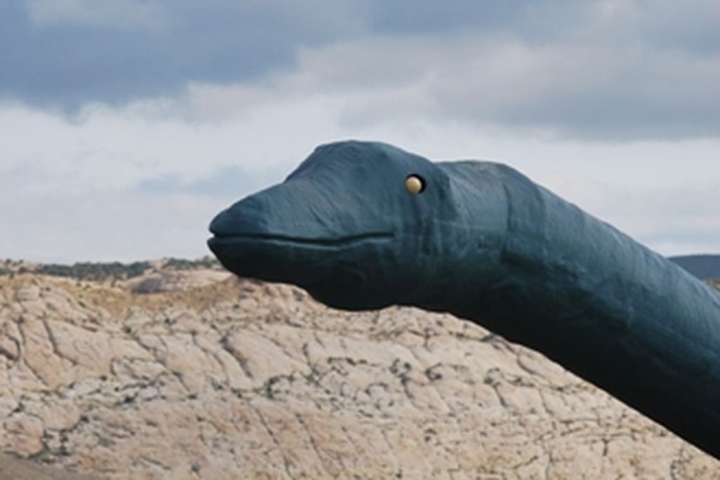 20110520083147diplodocus-dinosaur-monument-store.jpg