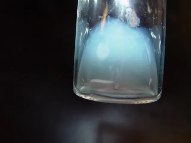 blue blood in a vial
