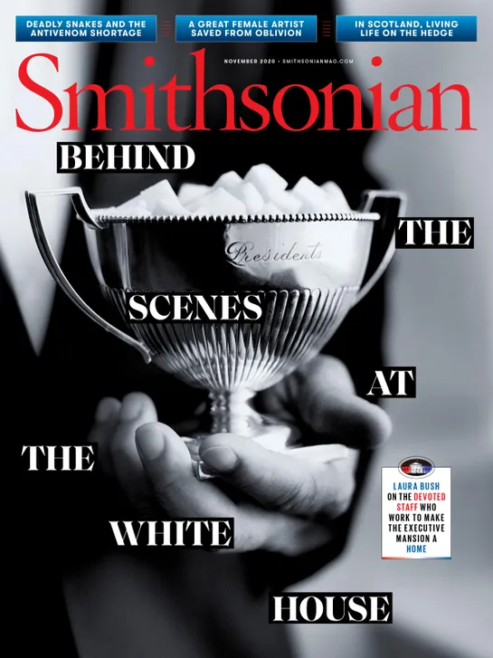 Cover for November 2020