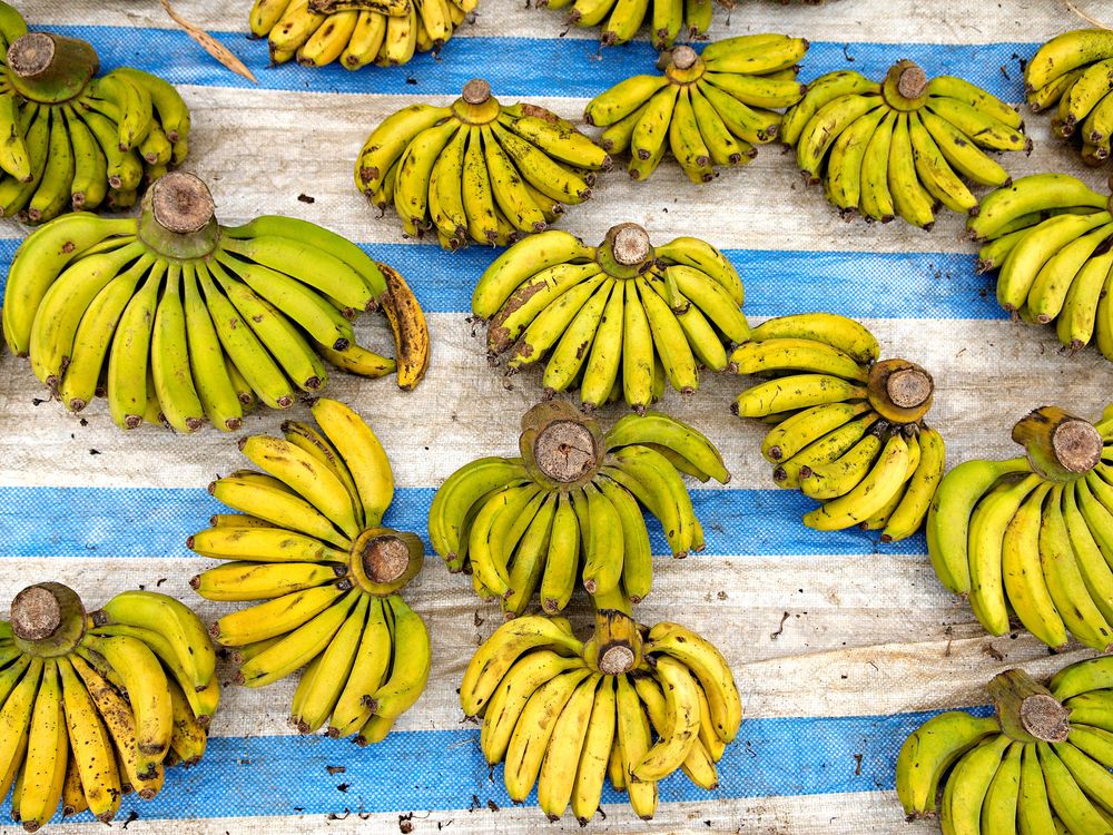 bananas at market