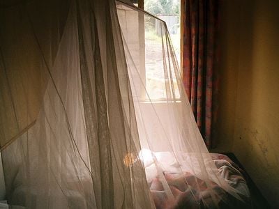 In places where malaria thrives, mosquito nets are used to keep the bugs away from people as they sleep.