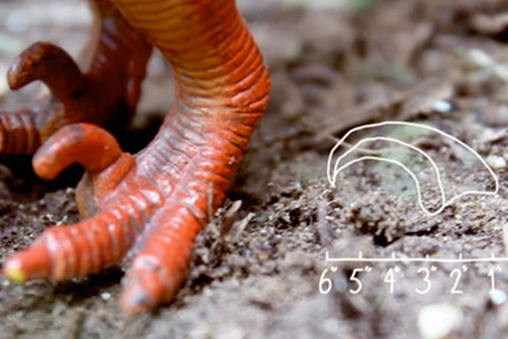 20110831114012velociraptor-claw-jurassic-park.jpg