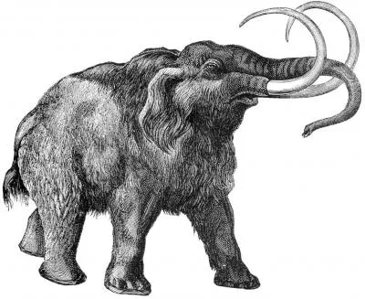 20110520104012mammoth.jpg