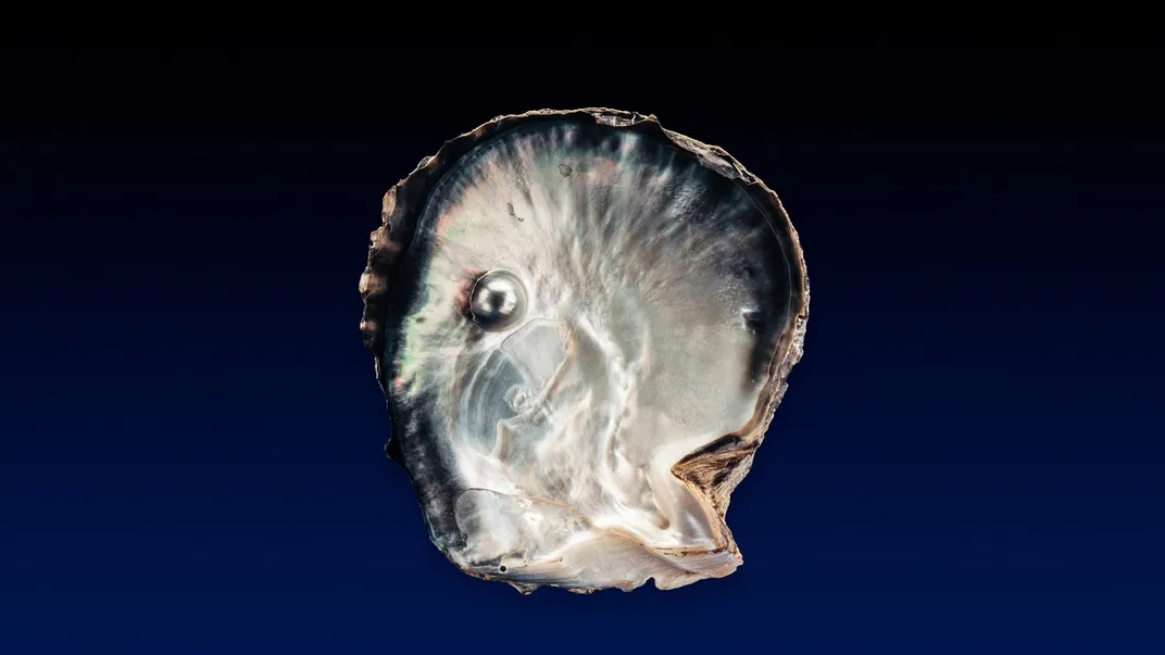 Pearl inside an upright half shell of a bivalve