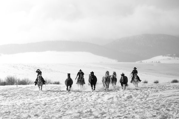 Horses and wranglers in snow thumbnail