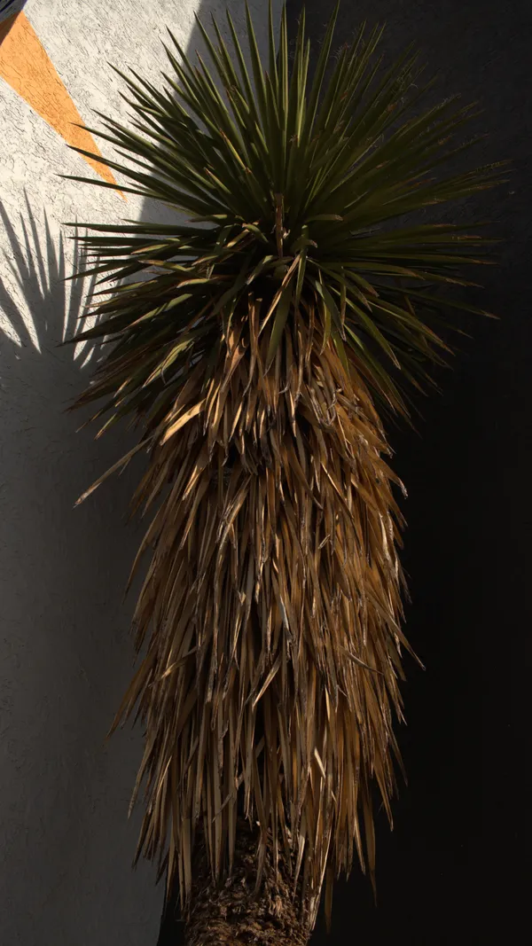 Untitled (Enormity) thumbnail