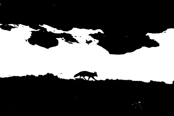 Shadow Walker of the White Peak thumbnail