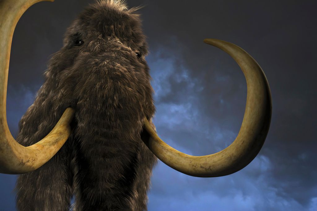 Mammoth
