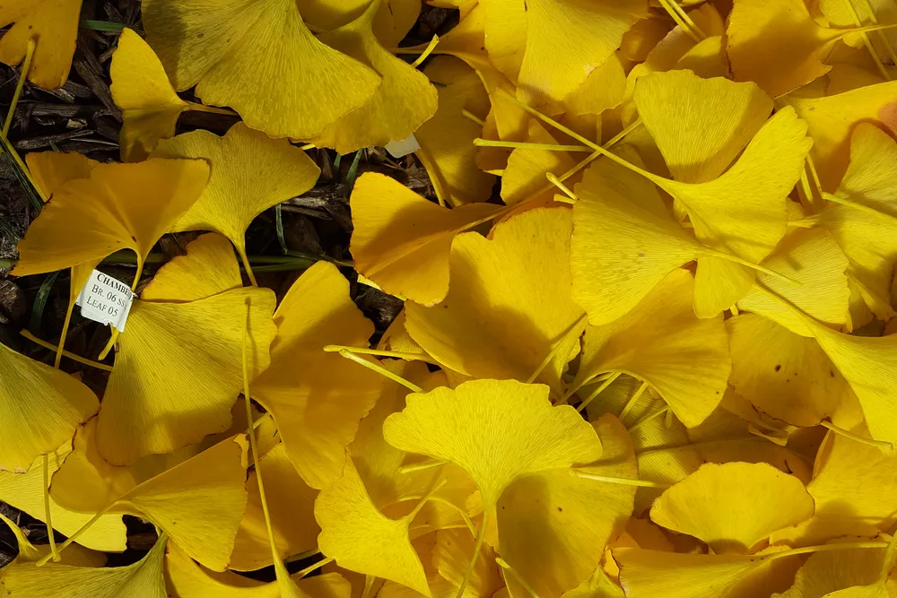 20171111_103638.jpg
