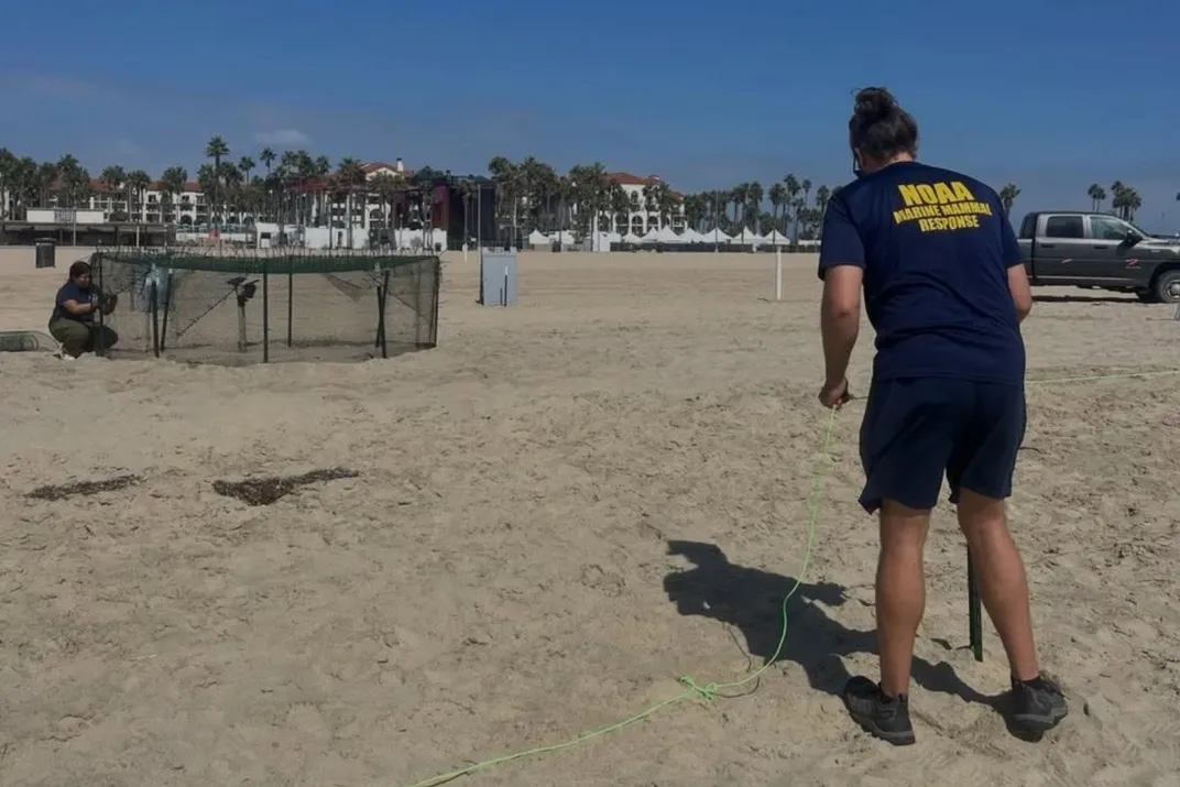 people working on the beach