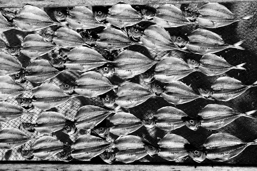 On this canvas of dried sorrow, a silent requiem for a life untold.

Despite the fact that Nazaré is known in the world for its gigantic waves, with the surf competition, one of the oldest traditions of the country rests on the nearby beach: sun-drying fish.  
89 years old Manuela has been drying and selling fish since she was 7. This ancestral tradition is a feminine skill that has been passed down from mothers to daughters over the years and is still alive today.