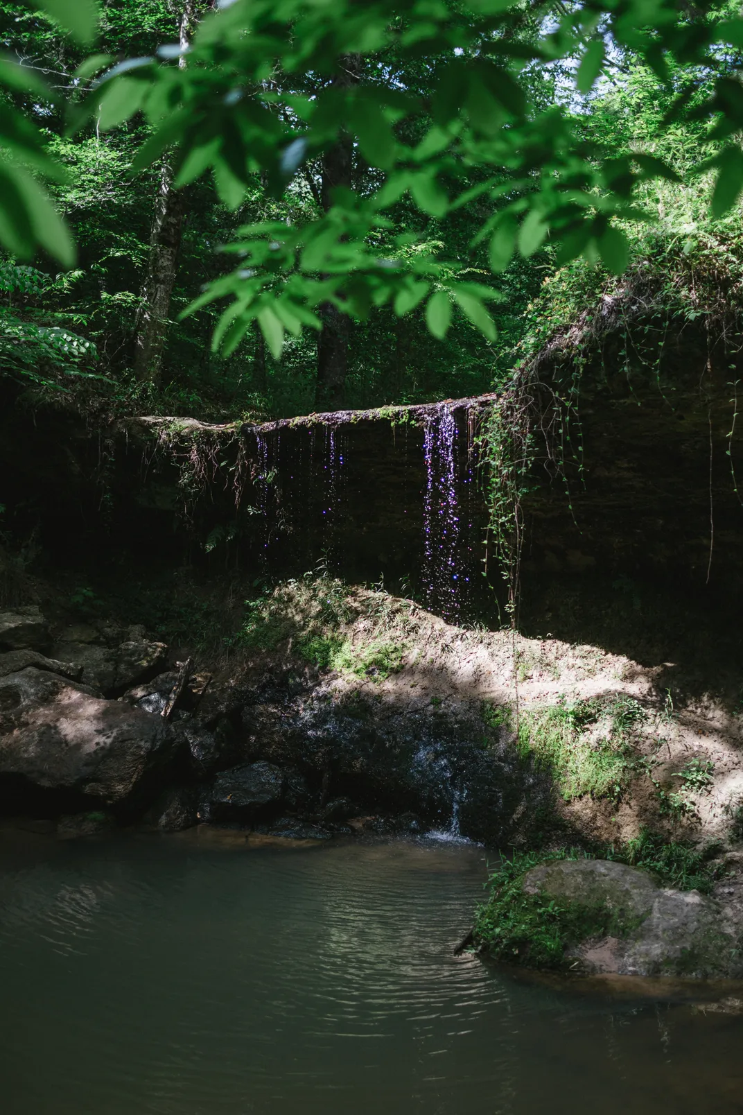 A waterfall by the Natchez Trace