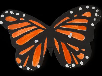 Monarch wings.jpg