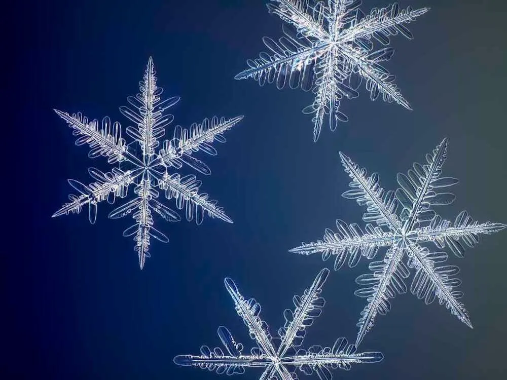 electron microscope images of snowflakes