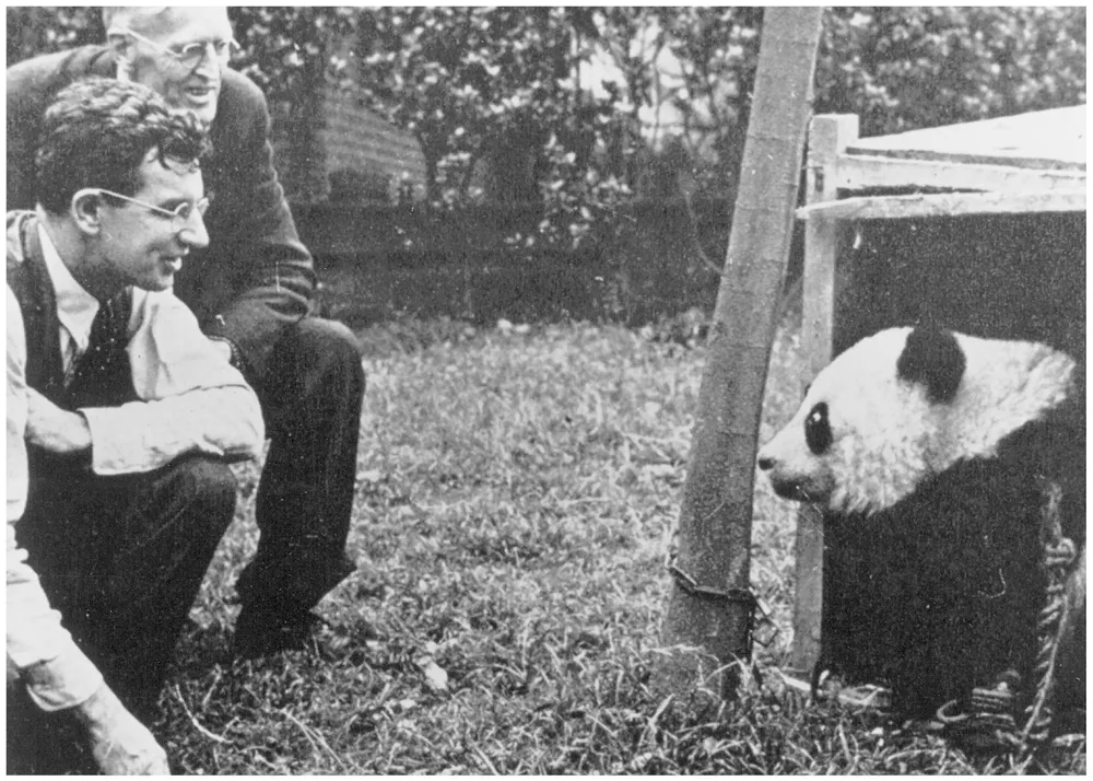 How an American Missionary Helped Capture the First Panda Given to