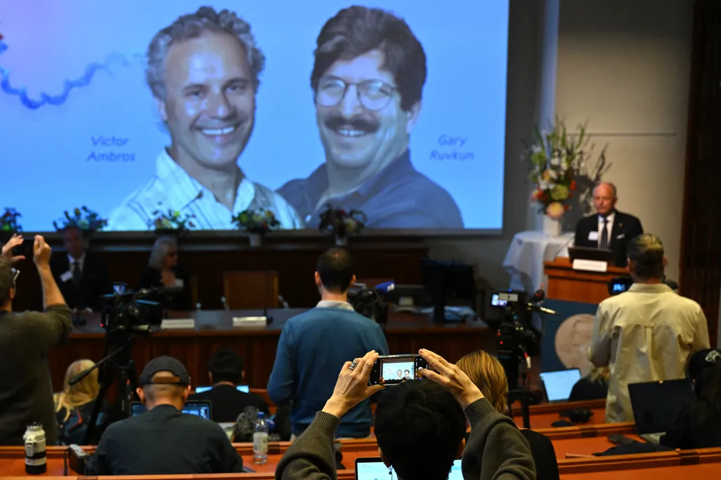 a journalist takes a picture with a phone of the two Nobel winners projected on a screen in a lecture hall