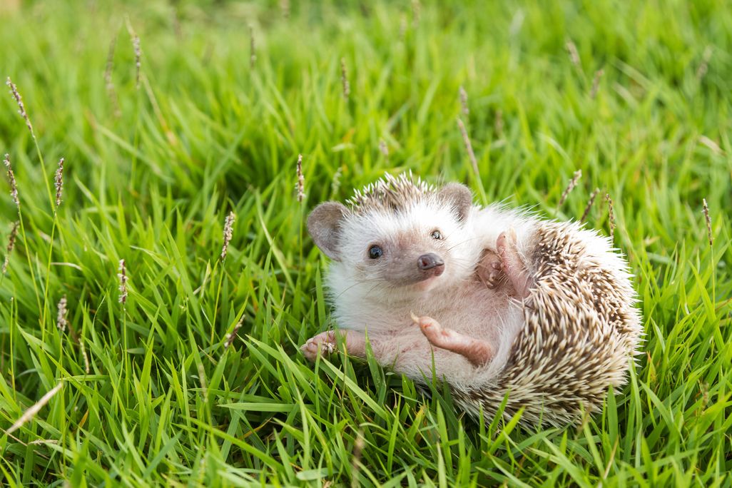 iStock-496545234.jpg