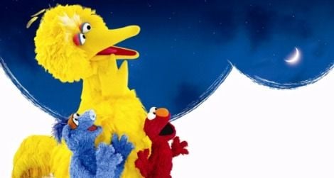 Big Bird and the gang star in "One World, One Sky" at the planetarium