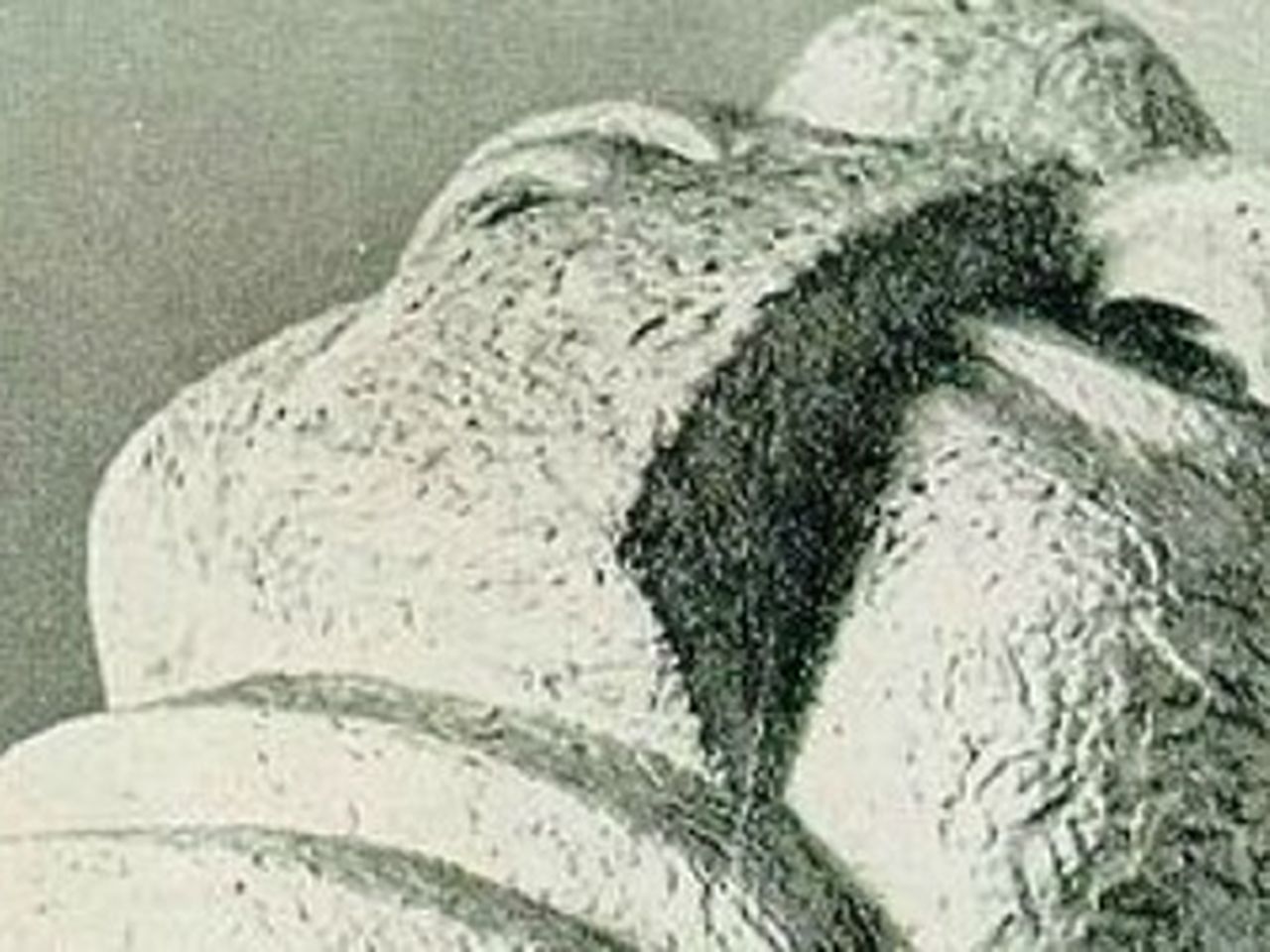 小物 Stolen Arts Stolen Arts – Capsule NYC