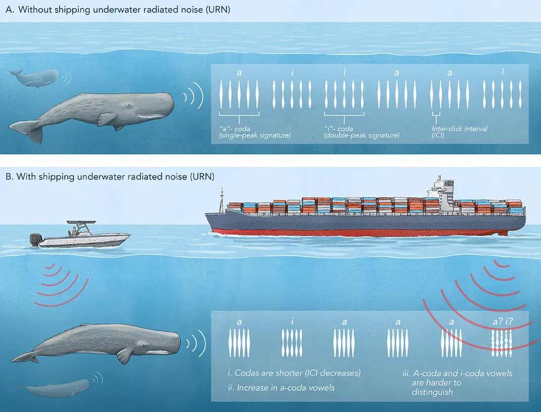 diagram showing difference between presence of ship noise and absence