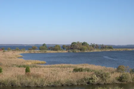 Tidal wetlands of the Chesapeake Bay