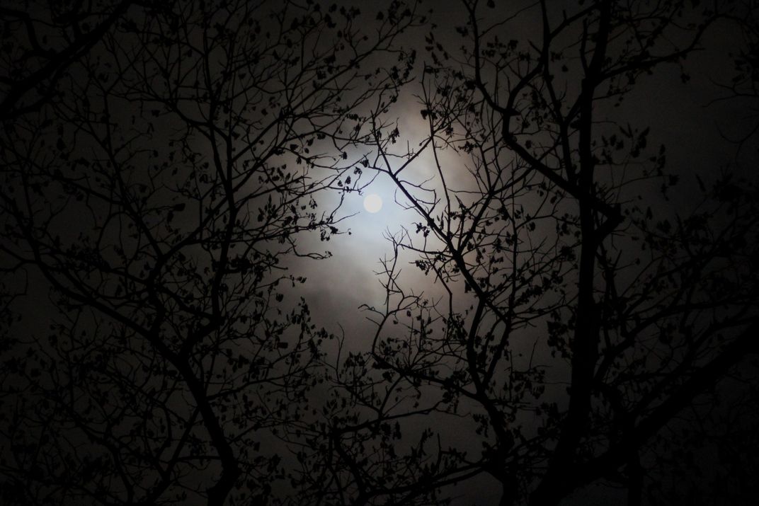 Moonshine on beautiful full moon night.. | Smithsonian Photo Contest ...