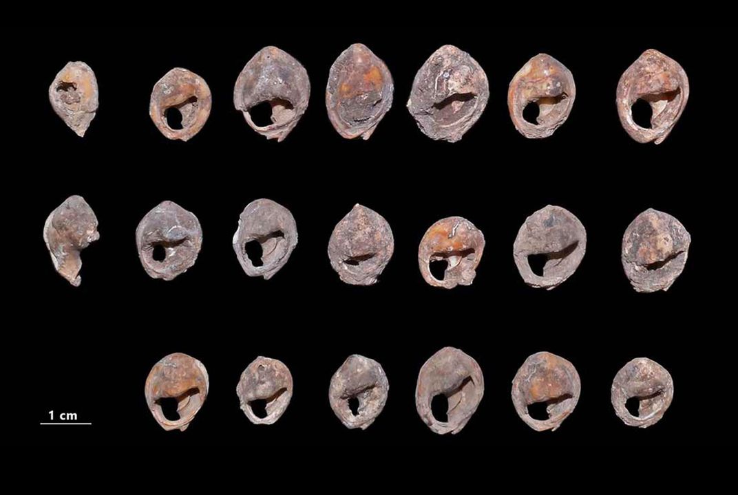 Shell beads 2024