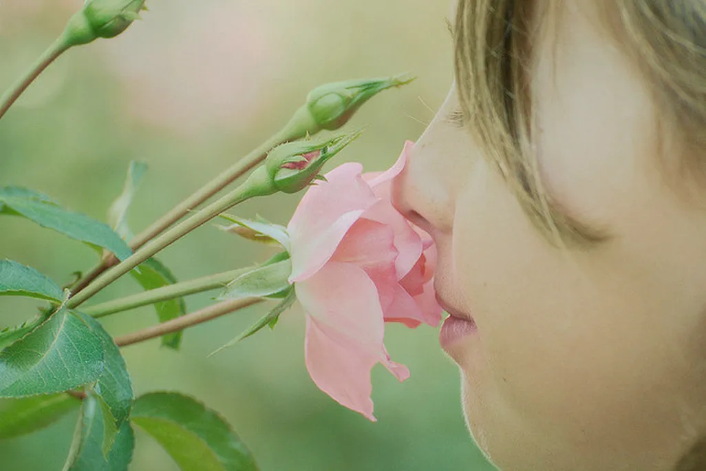 smelling roses