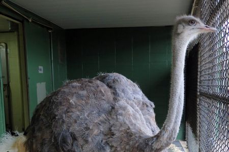 Linda is observant, social, and aware of new sights and sounds.