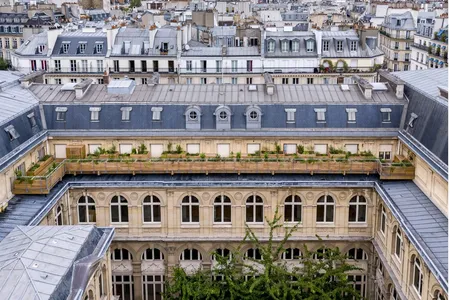 A company called&nbsp;Roofscapes&nbsp;has installed an experimental green roof over a zinc one at the Academy of Climate in Paris.&nbsp;A wooden platform, dotted with planters, runs along the building&rsquo;s side, creating a terrace.