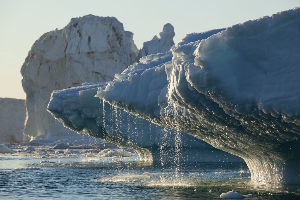 A chuck of glacier ice floating in the ocean in greenland with water running off of the ice