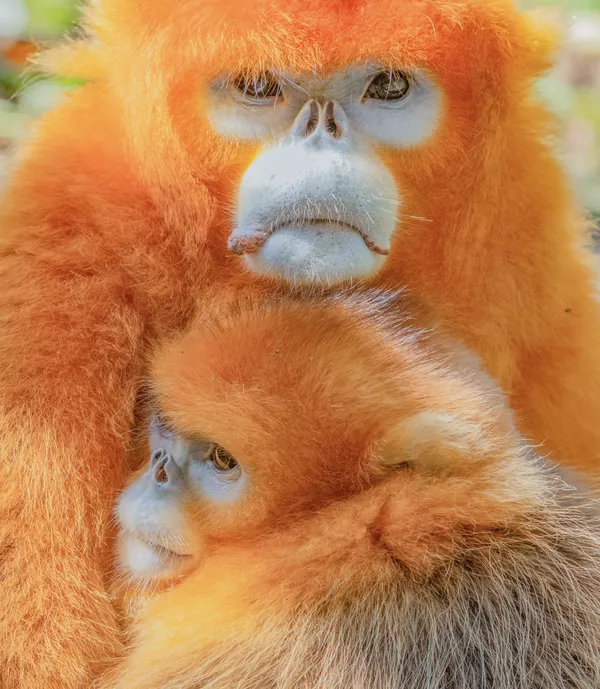 mother and son thumbnail