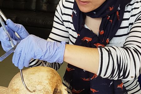 Researcher Sarah Inskip examines the skull of Context 958.