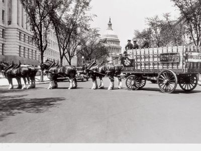 The first Budweiser Clydesdale team paraded down Pennsylvania Avenue to deliver a case of Budweiser to President Roosevelt. The fancy horses have been a company tradition ever since.