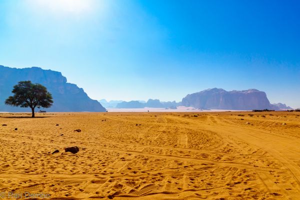 Landscape with various rock formations, in Wadi Rum thumbnail