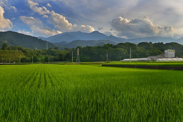 Mukawa Rice Center Facility thumbnail