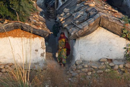 An Indian woman holds a bucket and walks to relieve herself in the open, on World Toilet Day on the outskirts of Jammu, India, in 2014.
