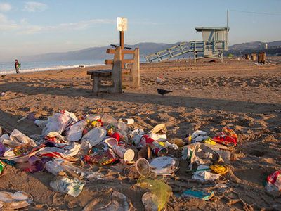 The Santa Monica State Beach is an allegory of North American consumerism. Every morning, cleaners collect chip bags, takeout containers, plastic straws, and more, hiding tonnes of trash from beachgoers who may never know the magnitude of the problem.