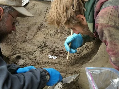 Archaeologists Ben Potter and Josh Reuther, both of the University of Alaska in Fairbanks, excavate the burial pit at the Upward Sun River site. 