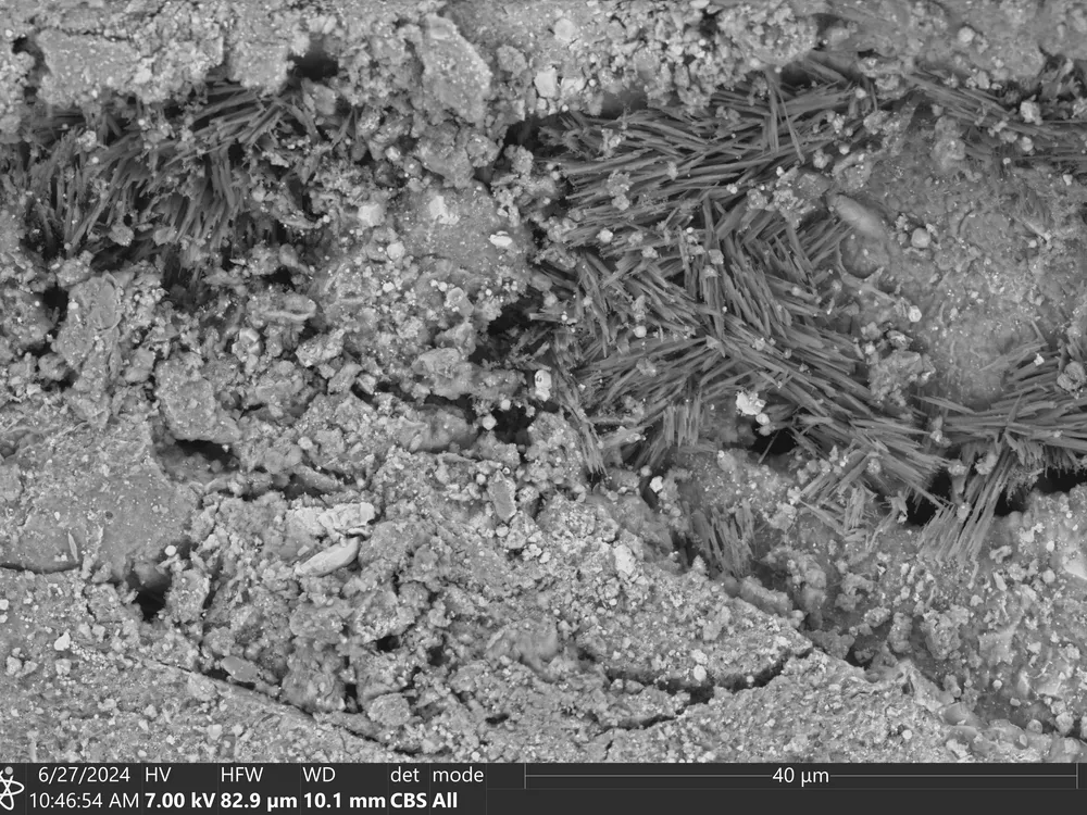 microscope image of asteroid sample