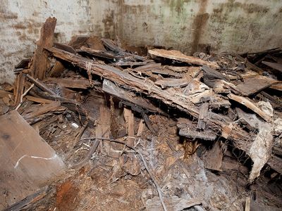 Inside the semi-subterranean 19th-century burial vault, conditions had deteriorated. The wooden shelves that held the caskets of nearly two dozen individuals had disintegrated. Bones were exposed.